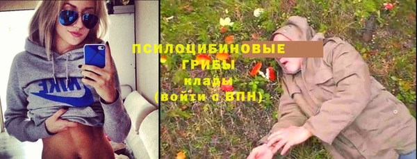 стафф Абаза